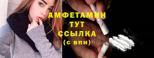 крисы Слюдянка