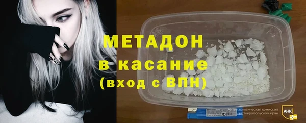 прущие грибы Вяземский