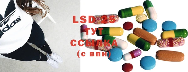крисы Слюдянка
