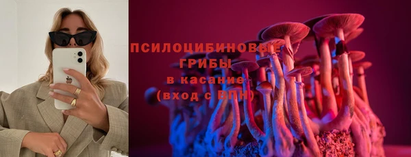 крисы Слюдянка