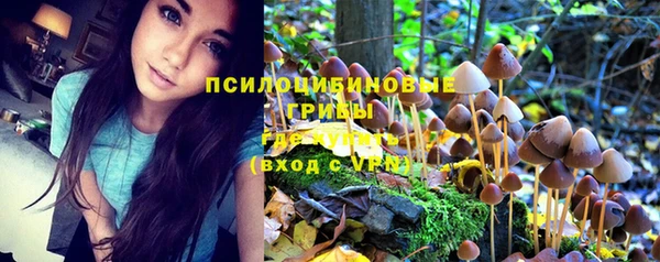молекула духа Володарск