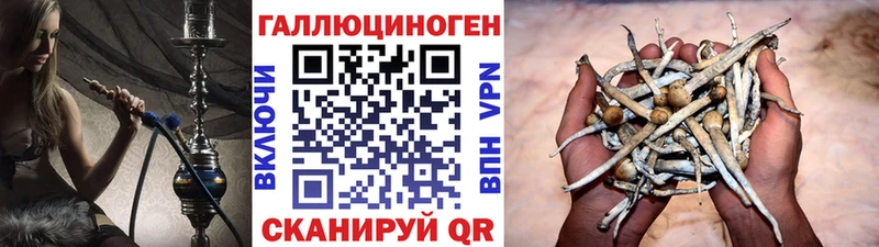 Псилоцибиновые грибы Magic Shrooms Королёв
